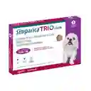 Simparica Trio 2.6 - 5 Kg Antiparasitario Para Perros 3 Comprimidos ...