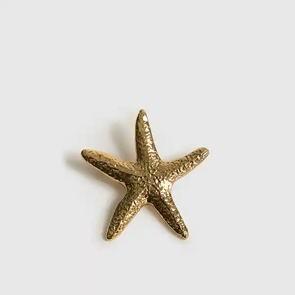 Prendedor Fiesta Estrella Mar Dorado