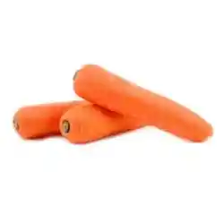 Zanahoria