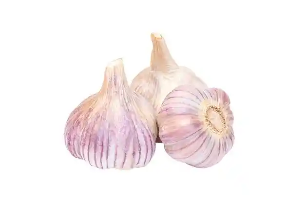 Ajo