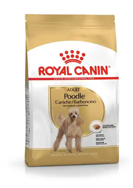 Royal Canin Alimento Para Perro Adulto Poodle