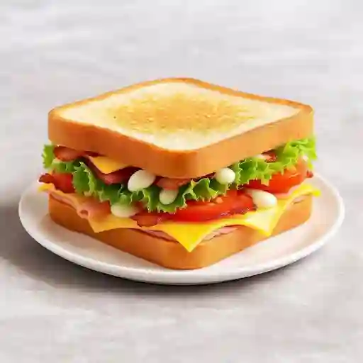 Sandwiches y completos