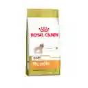 Royal Canin Alimento Para Perro Seco Adulto Poodle Adult