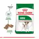 Royal Canin Alimento para Perro Adulto Mini
