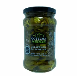 Cosecha verde Jalapeño Rodajas