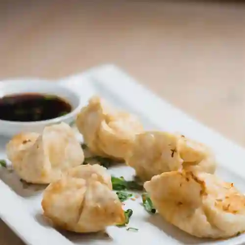 Gyozas de Verdura