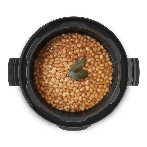 Mademsa Olla Eléctrica Manual MPC10