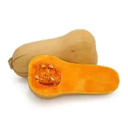 Hidrocampo Zapallo Butternut