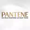 Pantene Shampoo Restauración