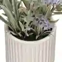 Maceta Con Lavanda 15 x 30 cm Casaideas