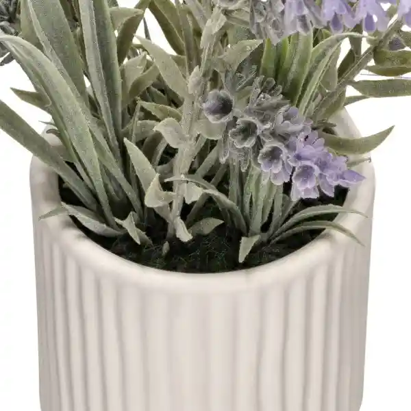 Maceta Con Lavanda 15 x 30 cm Casaideas