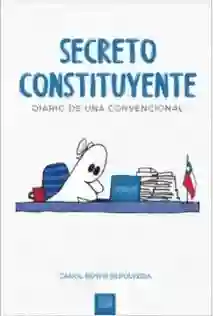 Secreto Constituyente. Diario de Una Convencional