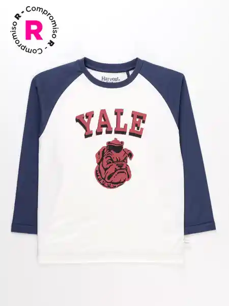 Harvest Polera Rag Azul 6 V26