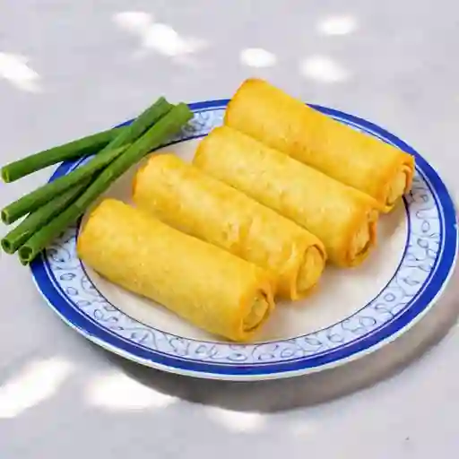 Arrollado primavera (oferta )