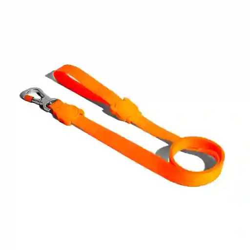Zeedog Correa Neopro Tangerine Grande