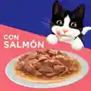 Felix Alimento para Gato Adulto con Sabor a Salmón
