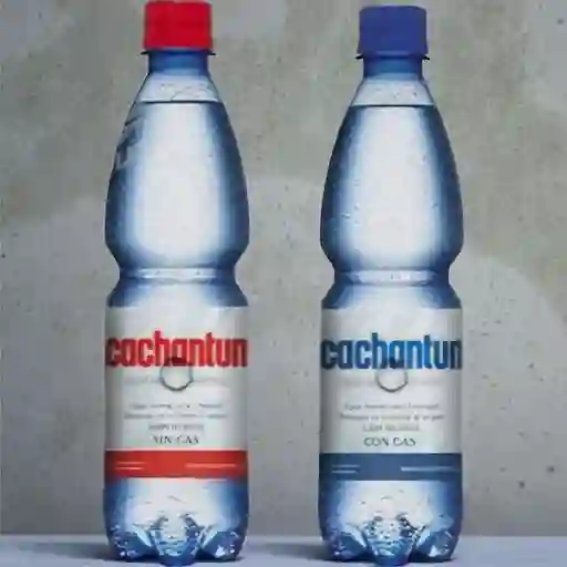 Agua con y sin gas 500cc