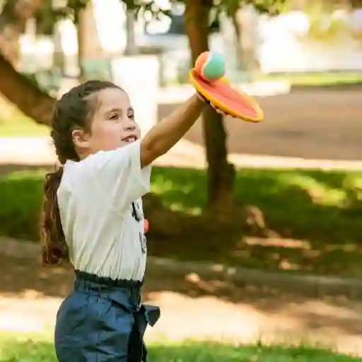 Paleta de Mano Velcro