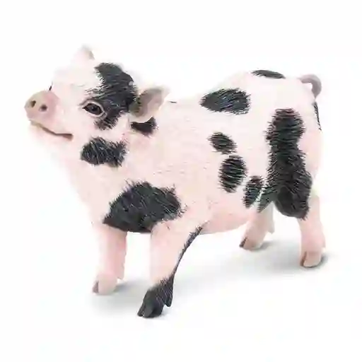 Safari Figura Coleccionable de Cerdo Barrigón