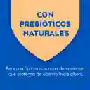 Cat Chow Alimento Gato Gatitos