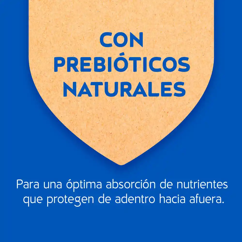 Cat Chow Alimento Gato Gatitos