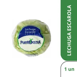 Punto Azul Lechuga Escarola