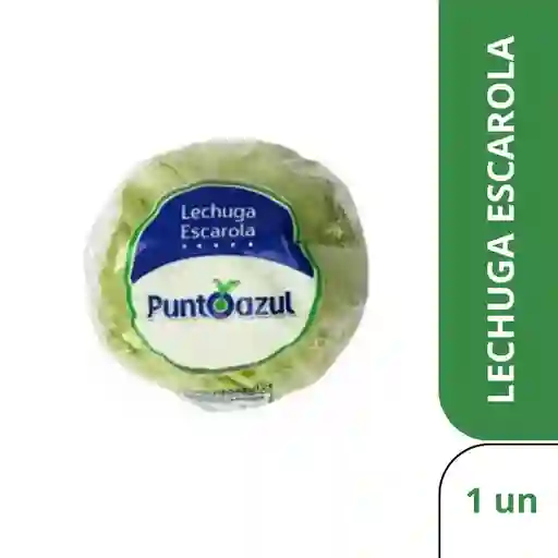 Punto Azul Lechuga Escarola