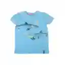 Polera Niño Turquesa Pillin 3 a