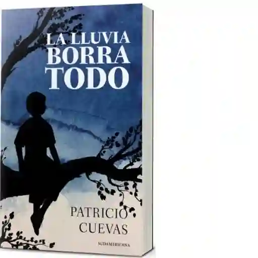 La Lluvia Borró Todo - Cuevas Patricio