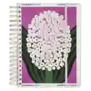 Cuaderno 1/2 Oficio Tapa Morado 18 x 3.5 x 24 cm Casaideas