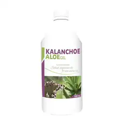 Knop Kalanchoe Aloe Gel