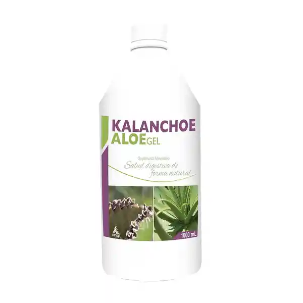 Knop Kalanchoe Aloe Gel