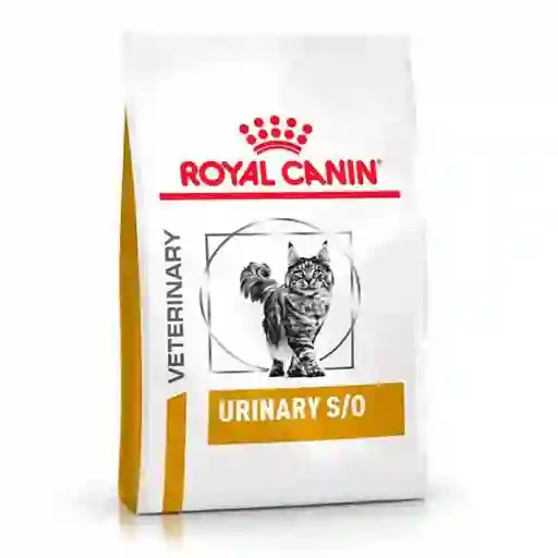 Royal Canin Alimento Gato Urinary S/O
