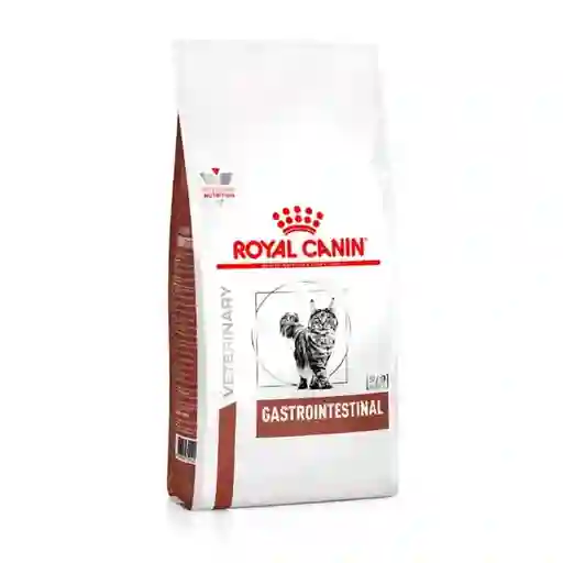 Royal Canin Alimento Gato Gastrointestinal