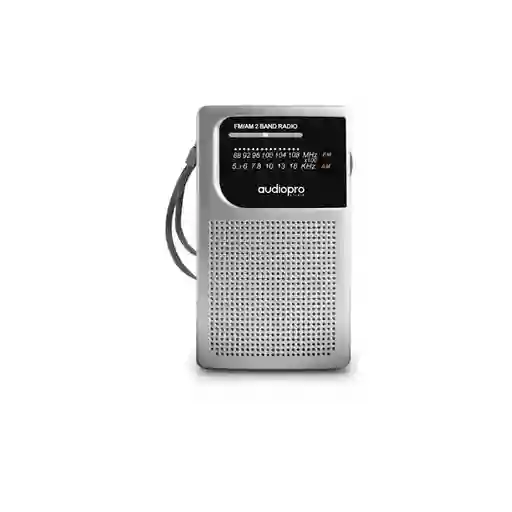 Radio Fm Portátil Audiopro Ap02079 | Gris