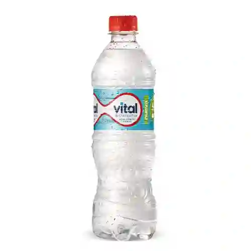 Vital Sin Gas 600ml