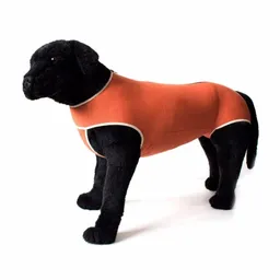 Kimbavet Vestido Mascota Body Cobre Tradicional T1