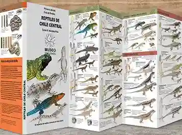 Reptiles de Chile Central Desplegable (Bilingue)