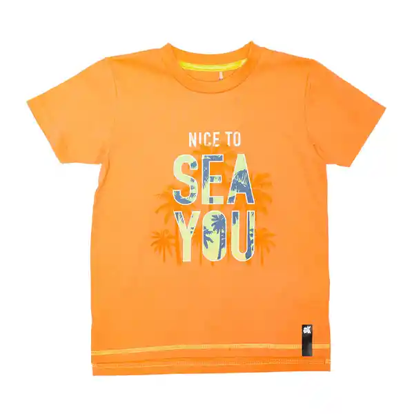 Polera Niño Naranja Pillin 4 a