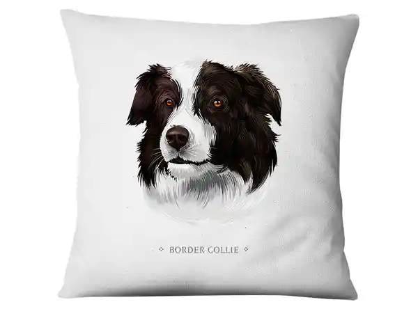 Funda Cojín Border Collie