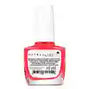 Maybelline Esmalte Superstay 7 Days 501 Cherry