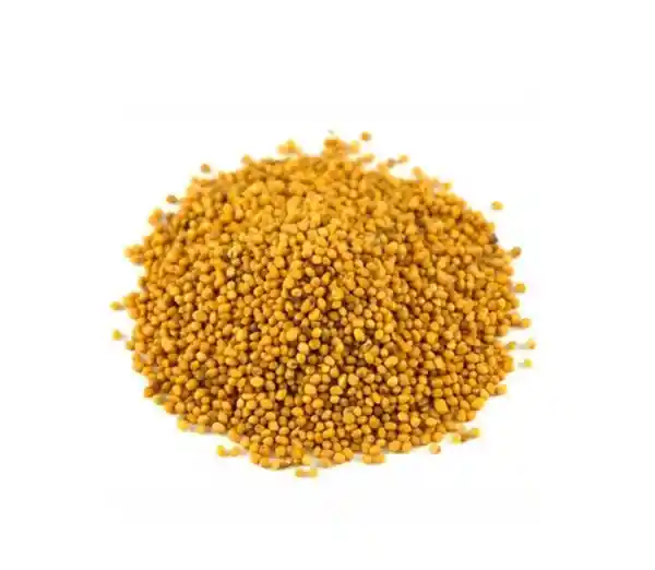 Semilla de Mostaza Amarilla