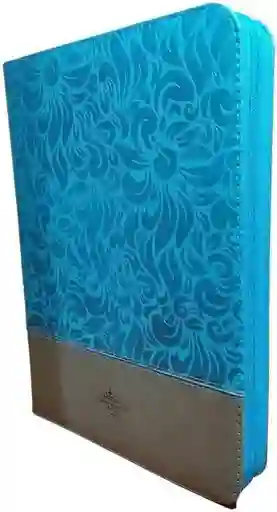 Biblia Letra Gigante Azul Estuche - Sociedad Biblica Chilena