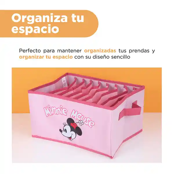 Organizador Con Compartimentos Miniso