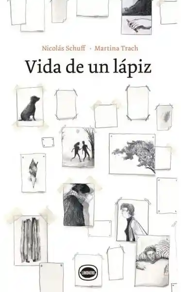 Vida de un Lapiz