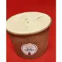 Nocciola Stevia (Avellana Italiana)