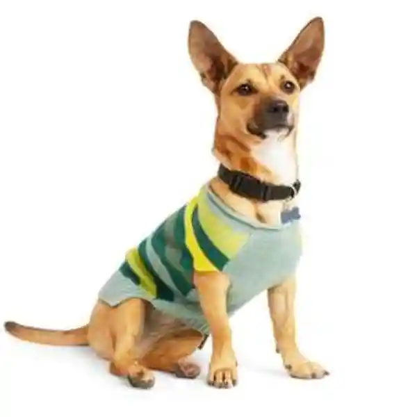 Youly Suéter Verde Con Gris Estilo Rayado Para Perro X-Grande