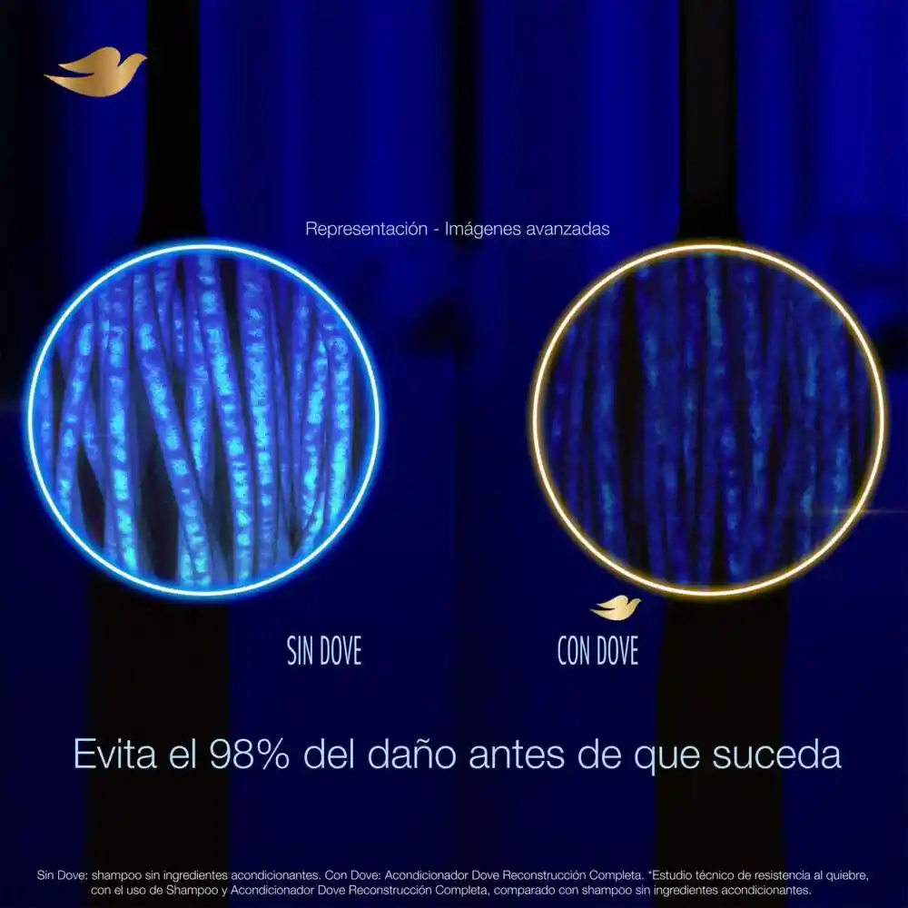 Dove Shampoo Regeneración Extrema