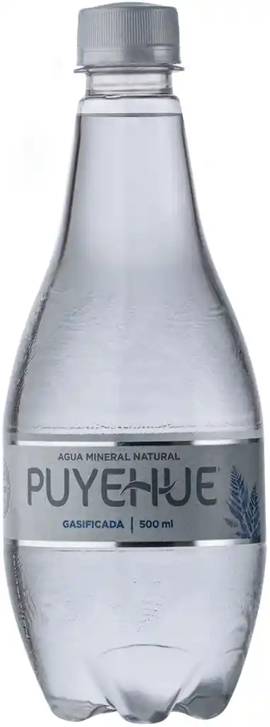 Puyehue Agua Mineral Con Gas