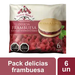 Nutra Bien Alfajor Delicia Frambuesa